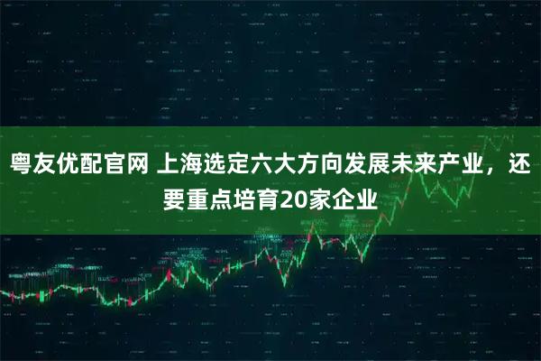 粤友优配官网 上海选定六大方向发展未来产业，还要重点培育20家企业