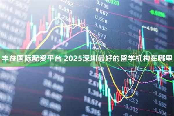 丰益国际配资平台 2025深圳最好的留学机构在哪里