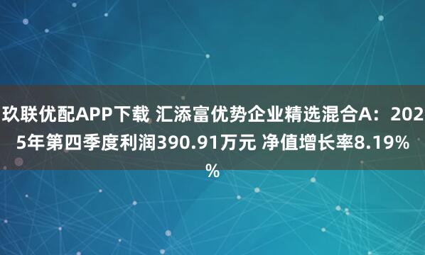 玖联优配APP下载 汇添富优势企业精选混合A：2025年第四季度利润390.91万元 净值增长率8.19%