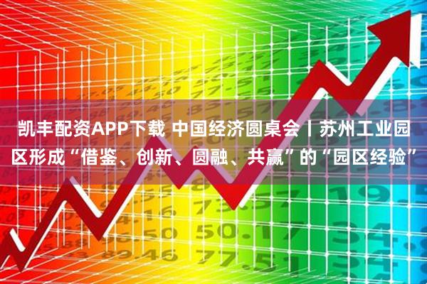 凯丰配资APP下载 中国经济圆桌会丨苏州工业园区形成“借鉴、创新、圆融、共赢”的“园区经验”